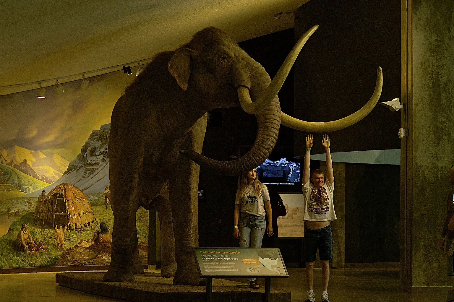 A replica Columbian Mammoth inside the George C. Page Museum.