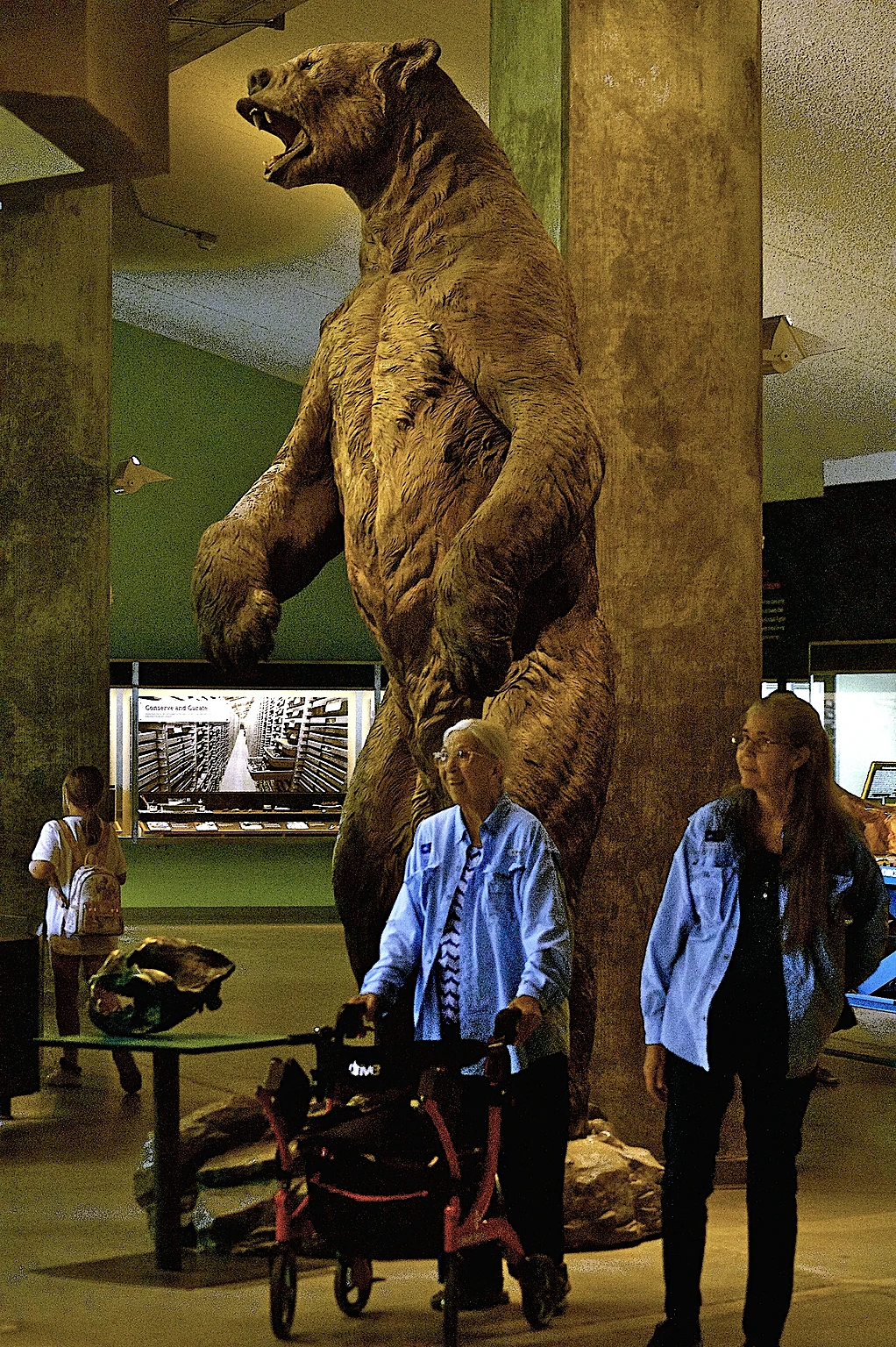 A Short Faced Bear inside the George C. Page Museum.